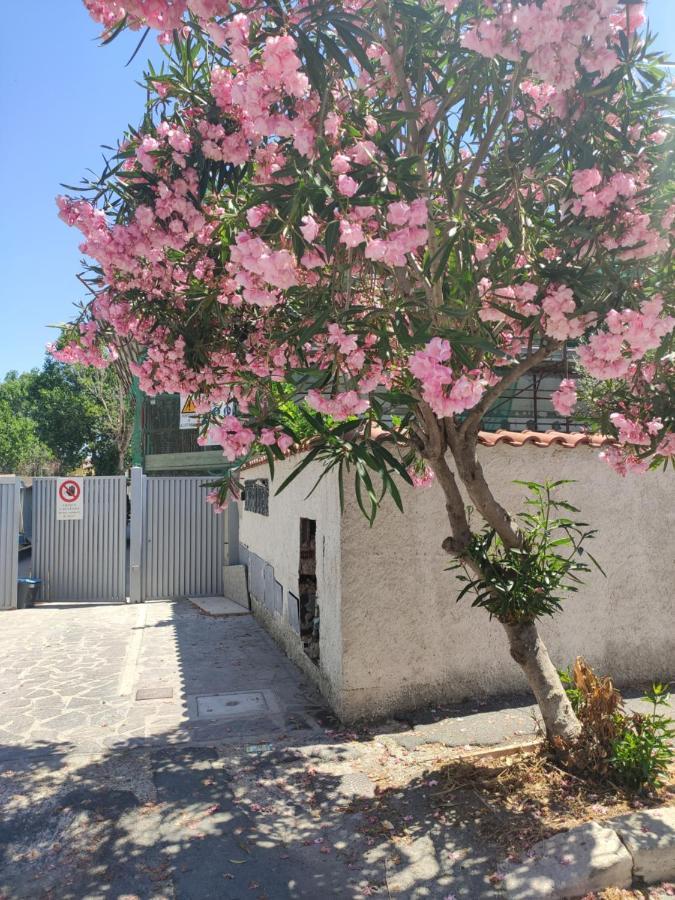 Casa Vacanze Φιουμιτσίνο Εξωτερικό φωτογραφία